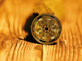 Challenges in Investing in Cardano