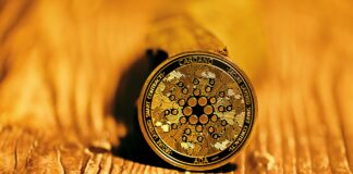 The Challenges a Beginner Trader Faces When Investing in Cardano Challenges in Investing in Cardano