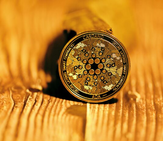 Challenges in Investing in Cardano