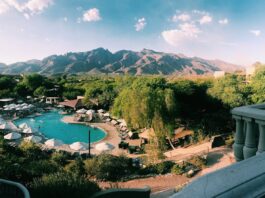 trimming tucson