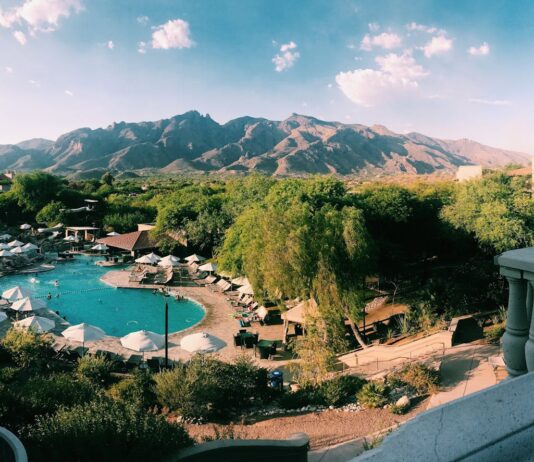 trimming tucson