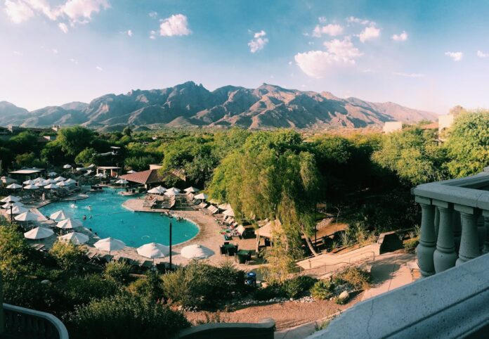 trimming tucson