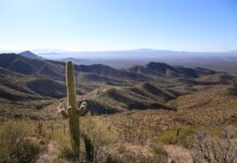 moving to Tucson, AZ