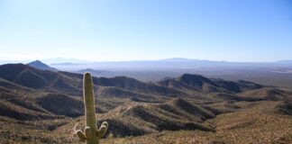 moving to Tucson, AZ
