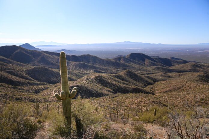 moving to Tucson, AZ