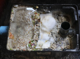 Why Emergency Grease Trap Cleaning Is Critical