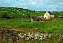 Colin Horan: Navigating Ireland’s Property Market with Expertise and Integrity Navigating Ireland's Property Market