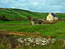 Navigating Ireland's Property Market