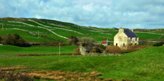 Navigating Ireland's Property Market