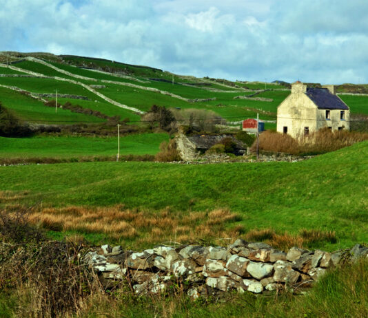 Navigating Ireland's Property Market