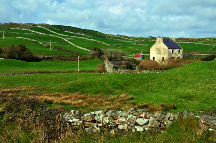 Navigating Ireland's Property Market