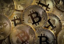 Crypto Projects Are Creating New Income Streams