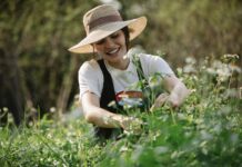 How Small Farms Became the New Startups of Agriculture Small Farms Became the New Startups