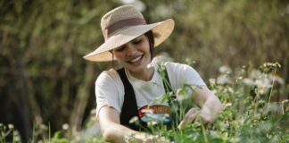 Small Farms Became the New Startups