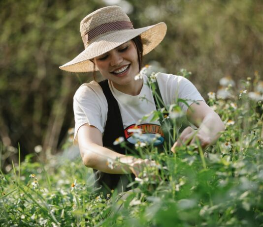 Small Farms Became the New Startups