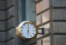 Omega Watch for Business Professional