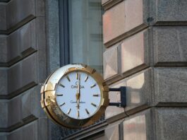 Omega Watch for Business Professional