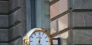 Omega Watch for Business Professional