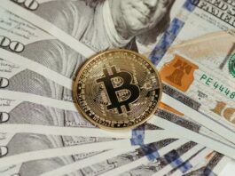 What Makes Gold Projects Attractive to Investors? Gold Projects Attractive