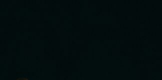 Automate Your Consultancy Business