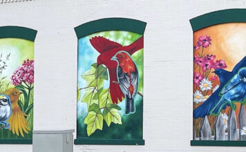 Main Street USA Brings Art & Conservation Together to Support Birds