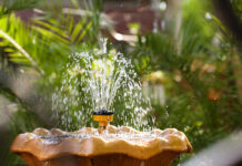 Guide to Water Features for Home Décor