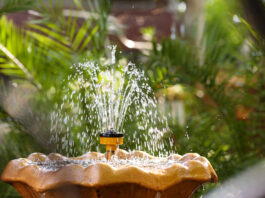 Guide to Water Features for Home Décor