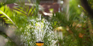 Guide to Water Features for Home Décor