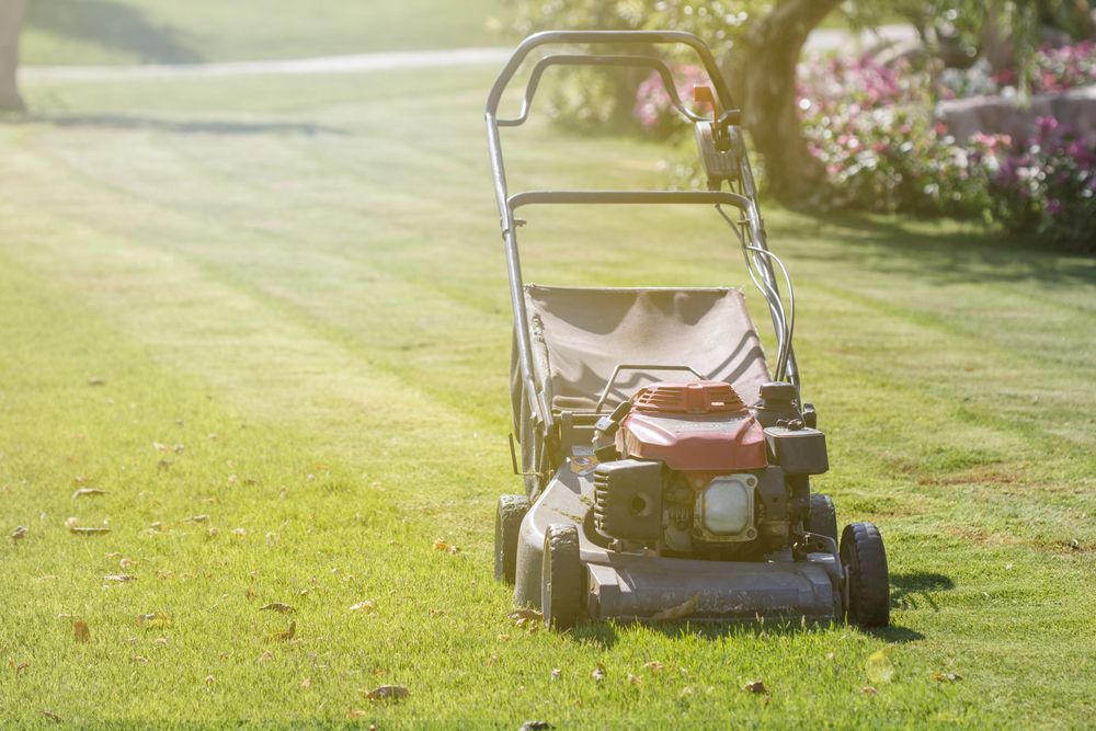 Costs for Garden Equipment Maintenance