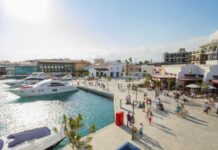 business opportunities in Cyprus