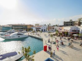 business opportunities in Cyprus