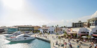 business opportunities in Cyprus