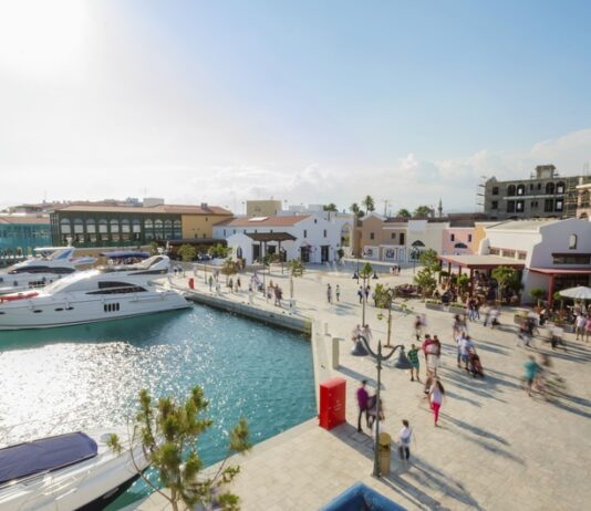 business opportunities in Cyprus