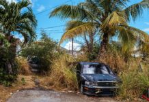 Selling a Car Without a Title in Florida