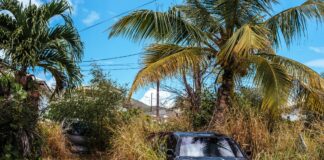 Selling a Car Without a Title in Florida