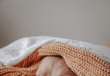 Perceived Quality in Promotional Blankets