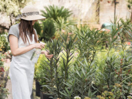 Lawn and Pest Control Providers