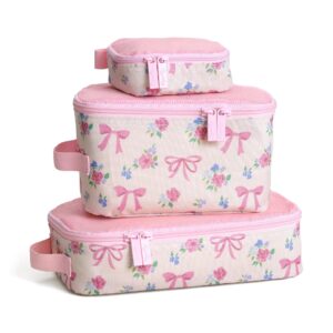 Itzy Ritzy Packing Cubes, 2026 Valentine's Day