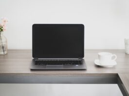 Successful Entrepreneurs Compete with Corporate Giants