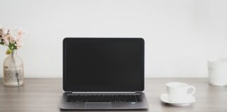 Successful Entrepreneurs Compete with Corporate Giants