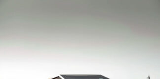 pentagon -big -tech- tesla -cybertruck