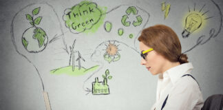 Conducting a Sustainability Baseline Audit for Your Business: A Guide Sustainability Baseline Audit for Your Business