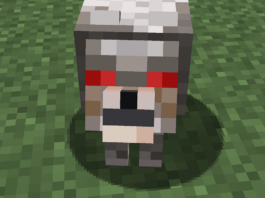 Variants and Wolf Armor minecraft Guide