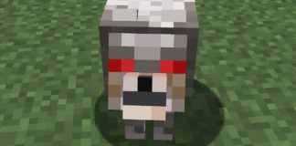 Variants and Wolf Armor minecraft Guide