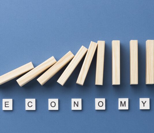 Slice-of -the-Economy