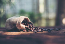 The Best Organic Coffee Brands in 2026: Expert Picks for Clean, High-Quality Coffee Organic Coffee Brands