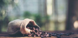 Organic Coffee Brands