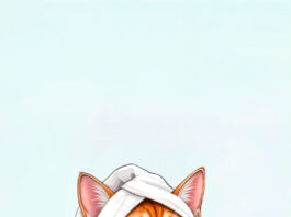 shampo-cat