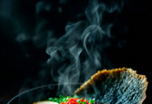 Korean Ramen Ban Explained: Why Denmark Flagged Spicy Noodles Over Health Concerns hoshi-ramen