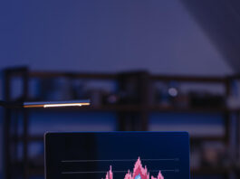 FVANF Stock Analysis: Performance, Price Trends & Investment Outlook fvanf-stock